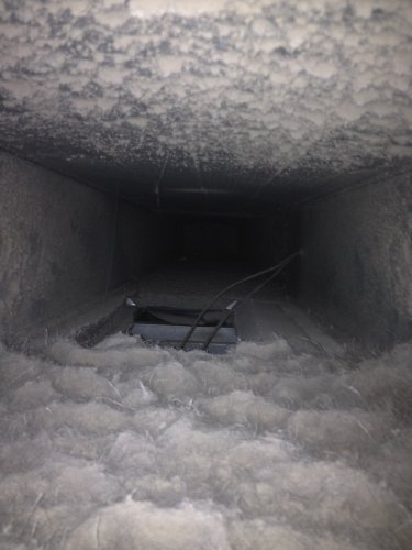How to Compare Air Duct Cleaning Quotes in Alberta